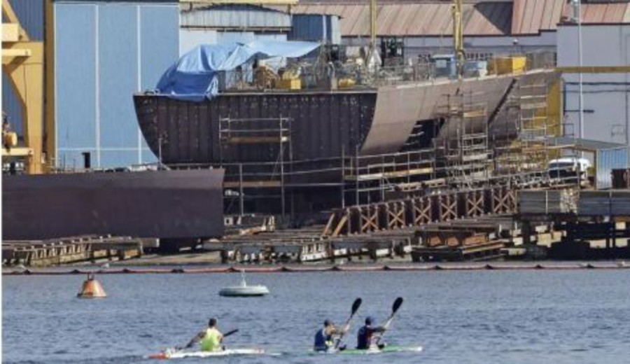 imagen de CARDAMA, PREGUNTAS NECESARIAS