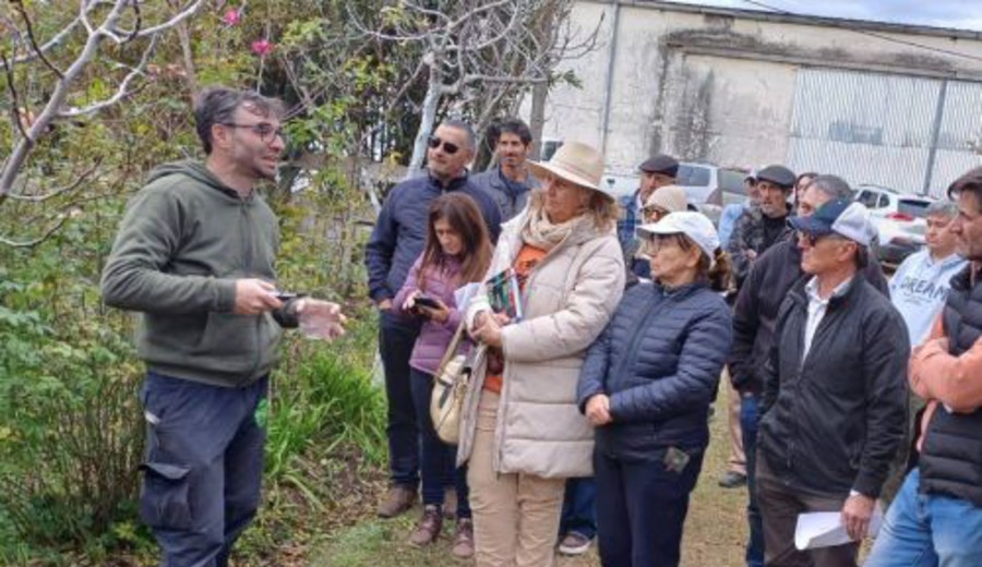 imagen de 5.ª Muestra de Rosas en Primavera en la Agraciada