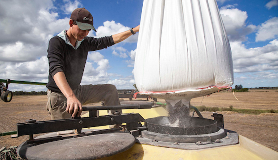 imagen de Banco Mundial prevé caídas de un 7% en los precios internacionales de materias primas para 2025 y 2026