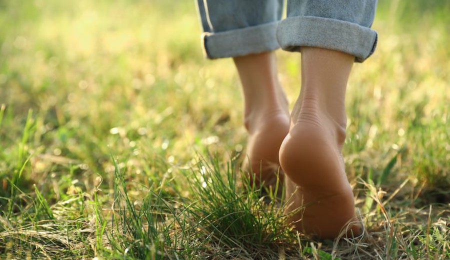 imagen de El contacto directo con la tierra, un formidable antiinflamatorio natural y gratuito. François Graña