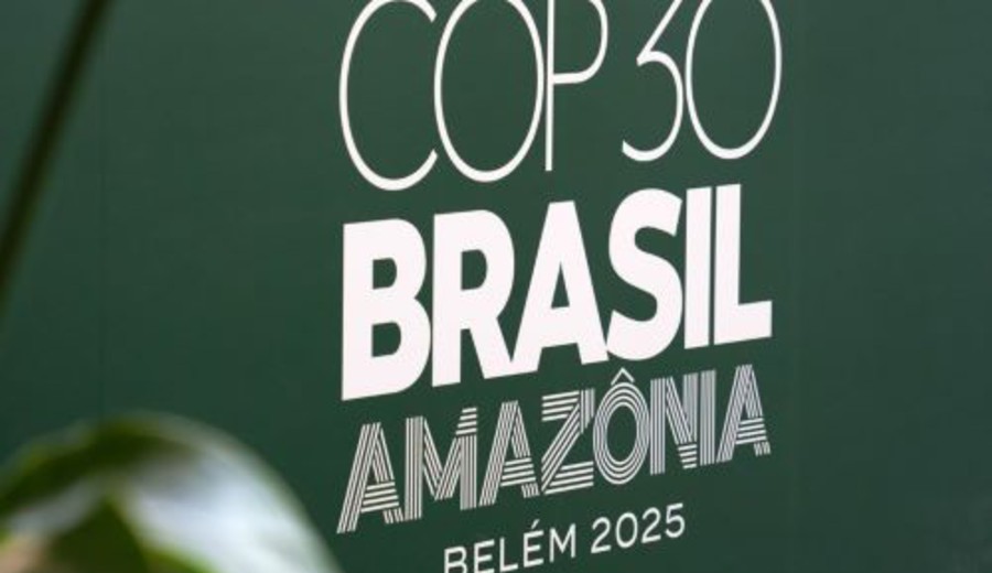 imagen de COP30: ¿Qué esperar de la cumbre mundial sobre cambio climático?