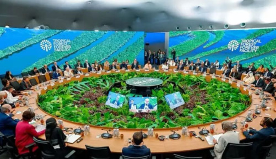 imagen de Nace un fondo multimillonario para proteger los bosques tropicales