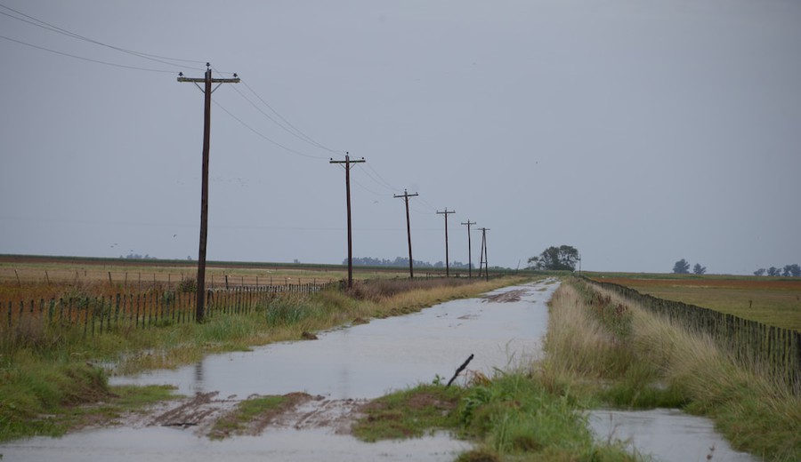 imagen de Argentina: Más de 5 millones de hectáreas afectadas por las inundaciones en PBA y temen por impacto en la producción