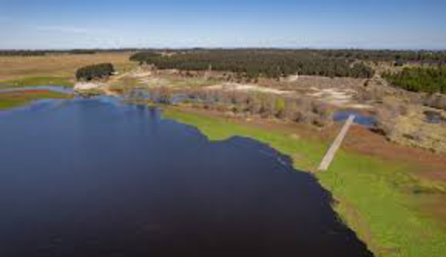 imagen de Nuevo desarrollo inmobiliario en Marindia con inversión inicial de cinco millones de dólares