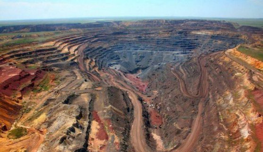 imagen de China descubre un helecho capaz de generar diminutos cristales de tierras raras