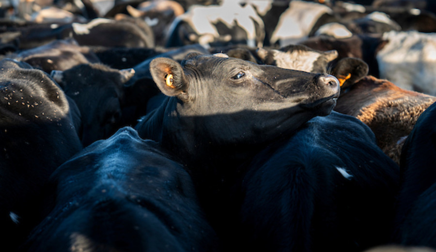 imagen de Buque varado en Turquía cambia de puerto y gobierno descarta que afecte la relación comercial
