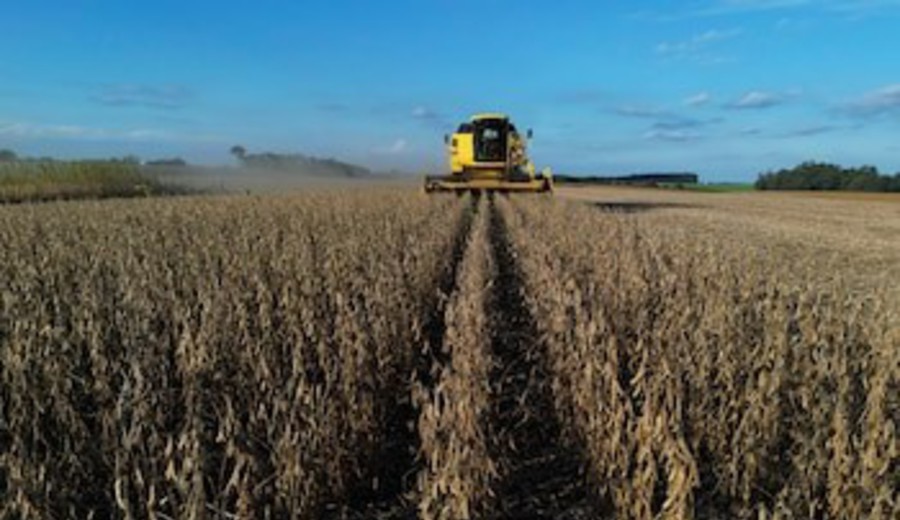 imagen de Mal pronóstico para las commodities: el Banco Mundial proyecta una caída de precios de casi 7% en 2026