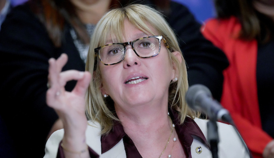 imagen de Diputados recibe a Lustemberg: “es una interpelación caprichosa” por parte de una oposición “desmedida”, según CA