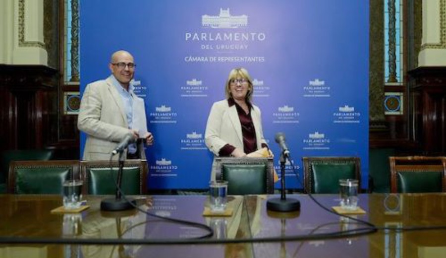 imagen de Ninguna de las mociones obtuvo votos suficientes, y Lustemberg superó interpelación por caso Danza