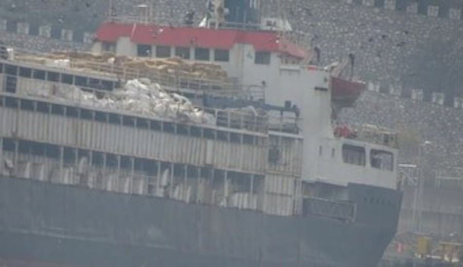 imagen de Embarque de 3.000 vacunos rechazados por Turquía fue descargado en Libia