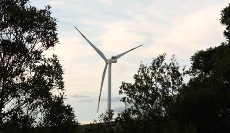 imagen de Vivir como Uruguay frenaría la “estafa piramidal” a los recursos del planeta, según experto suizo