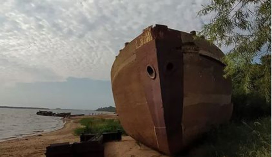 imagen de Las terribles certezas del Cardamagate (14)