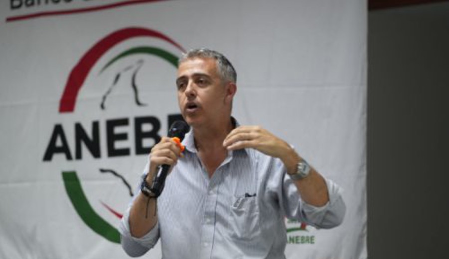 imagen de AEBU: Unidad sindical en clave regional