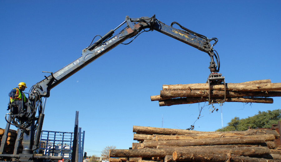 imagen de Empresa forestal neozelandesa presentó proyecto de inversión por más de US$ 100 millones