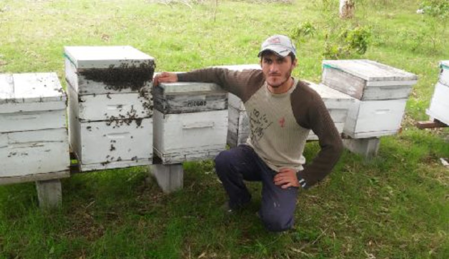 imagen de Mortandad de abejas en Agraciada y Buena Vista: Apicultores culpan a "agroquímicos"