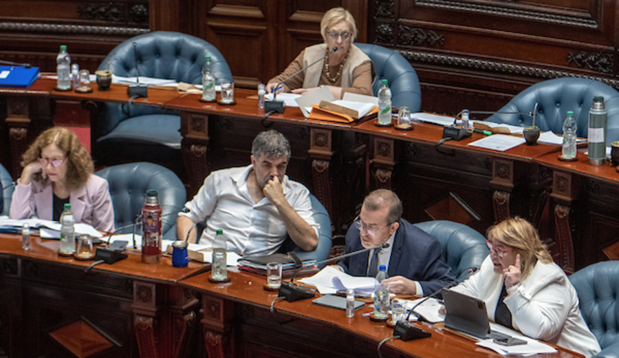 imagen de Interpelación por Cardama: Para el Frente Amplio “uno de los mayores fraudes de la historia”