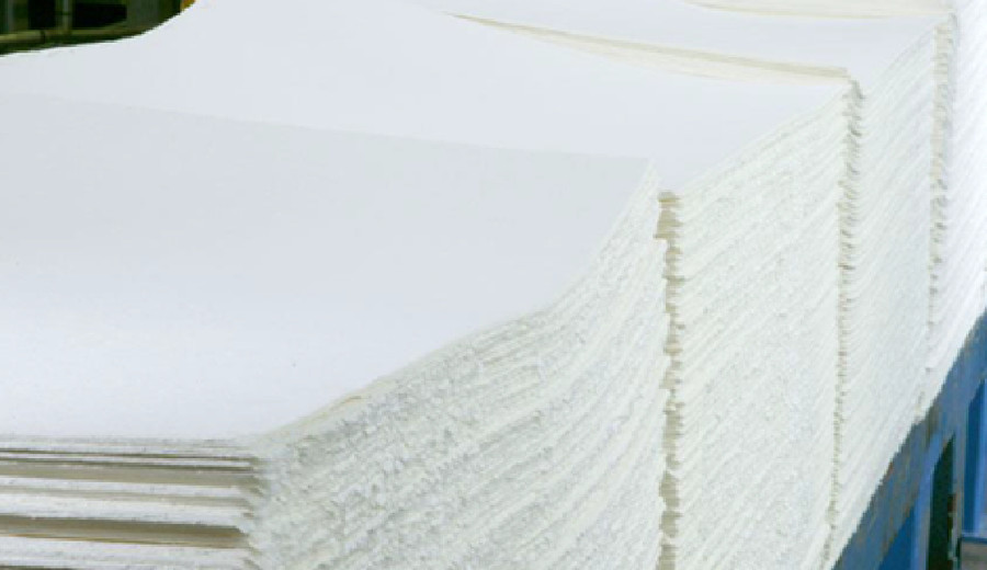 imagen de Grupo inversor proyecta instalar planta de celulosa y papel tissue con inversión de US$ 800 millones