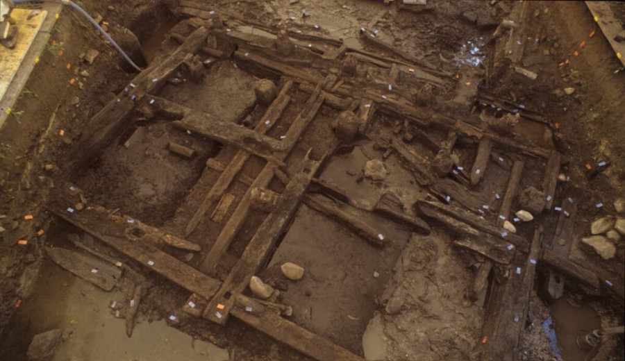 imagen de Expansión romana taló bosques tan remotos y antiguos al norte de los Alpes que nunca antes habían sido explotados