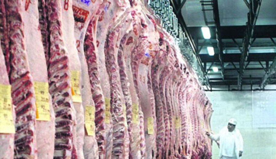imagen de Brasil pasa a ser mayor productor mundial de carne bovina en 2025, según previsiones de USDA