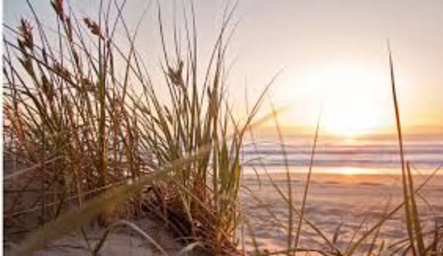 imagen de Lanzamiento de la campaña Verano en Movimiento