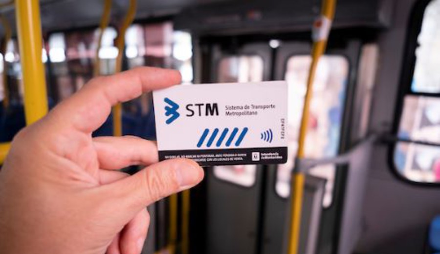 imagen de Sube el boleto del transporte colectivo en Montevideo: vea las nuevas tarifas