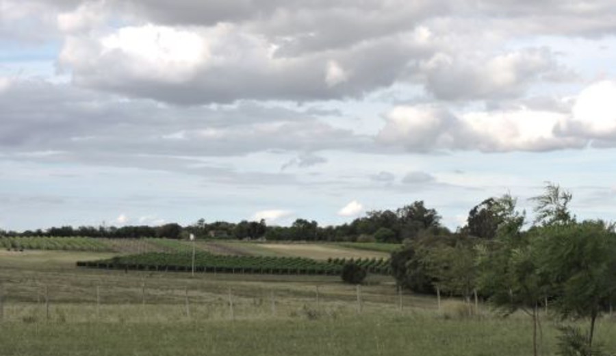 imagen de Frente al déficit hídrico, el Gobierno anunció medidas para productores agropecuarios