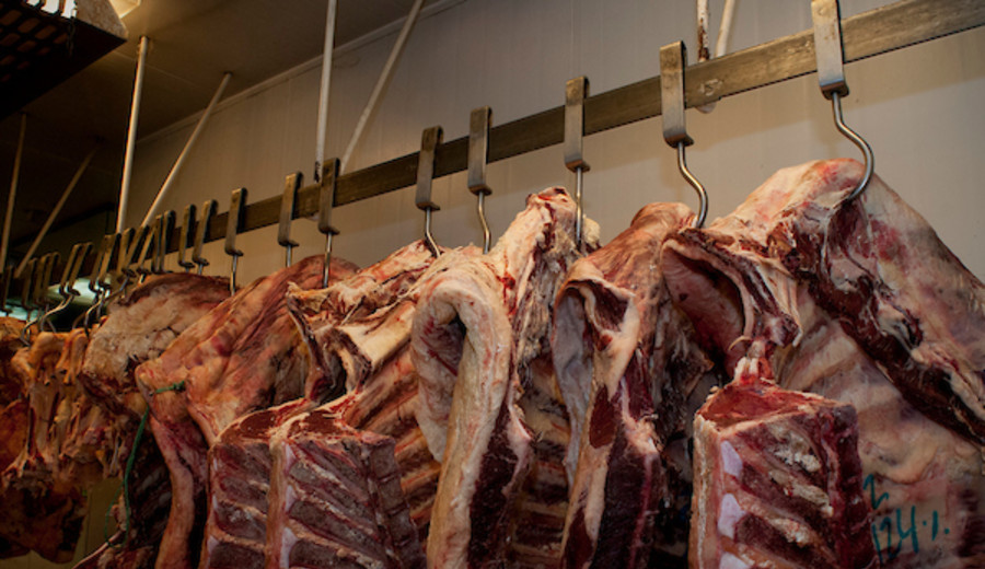 imagen de Agricultores y ganaderos españoles denuncian entrada de productos cárnicos por acuerdo con Mercosur: “Nos va a arruinar”