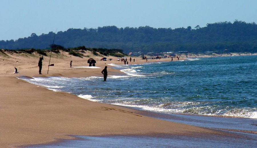 imagen de Sauce de Portezuelo: Generan preocupación ocupaciones de terrenos y áreas de especial sensibilidad ambiental