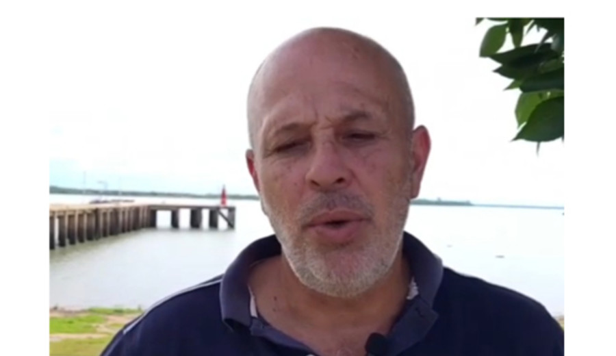 imagen de Zafra apícola comenzó con buenos rindes y sin respuesta por mortandad de abejas