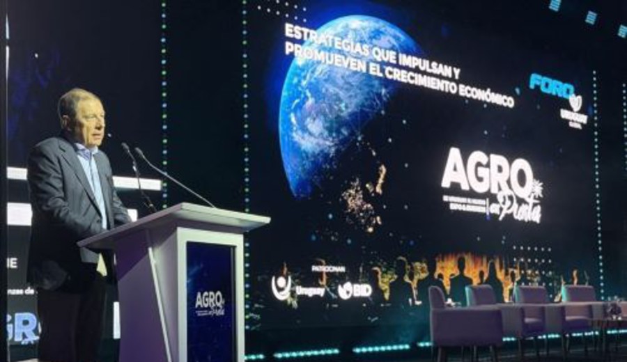 imagen de Oddone: “Este no es un país para hacer negocios rápidos”, eso pasa en “países inestables financieramente”