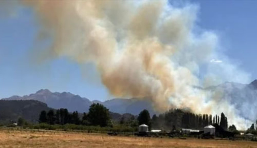 imagen de Una fiscal federal denunció posible daño ambiental por la planta de hidrógeno verde en Uruguay