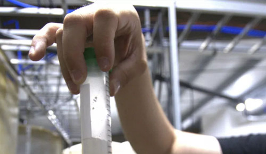 imagen de ¿Qué hay detrás del interés de Estados Unidos en las tierras raras de Argentina?