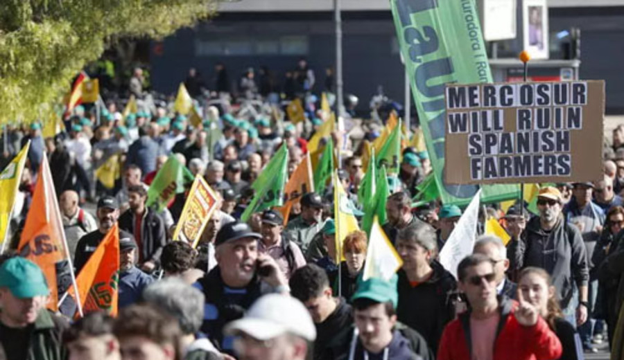 imagen de UE-Mercosur: Eurocámara aprueba salvaguardias para el sector agrícola