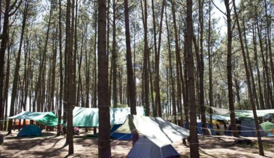 imagen de AEBU: Febrero con beneficios en Piriápolis