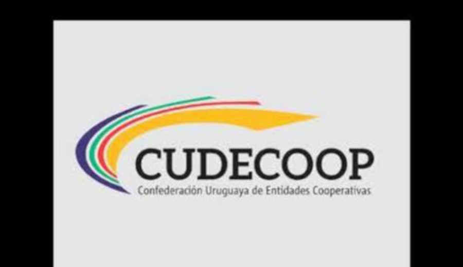 imagen de Curso de especialista en gestión cooperativa