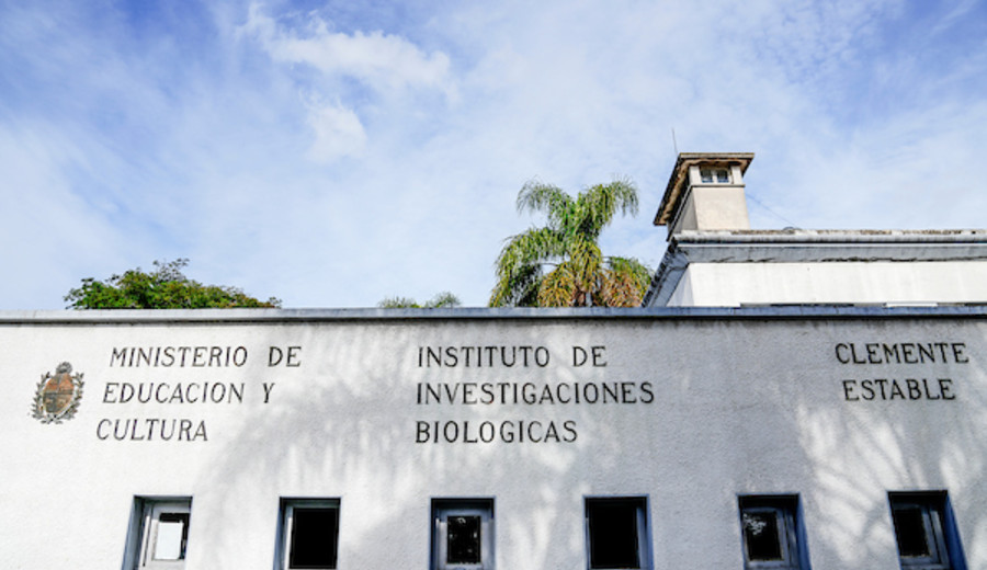 imagen de Uruguay protagoniza una revisión histórica sobre avance de la neurociencia en Latinoamérica, según revista científica