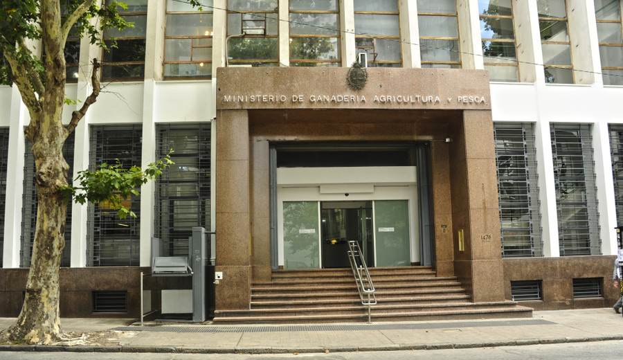 imagen de Ganadería declara emergencia sanitaria nacional por Influenza Aviar