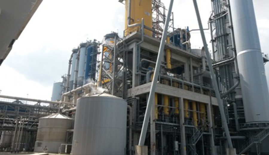 imagen de Monitoreo: se registraron más incumplimientos en la desembocadura del río Gualeguaychú que en la planta de UPM