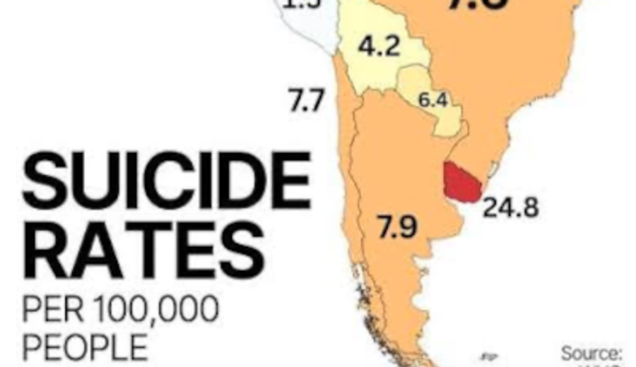 imagen de Suicidio en Uruguay: la conversación ausente. Magela Misurraco