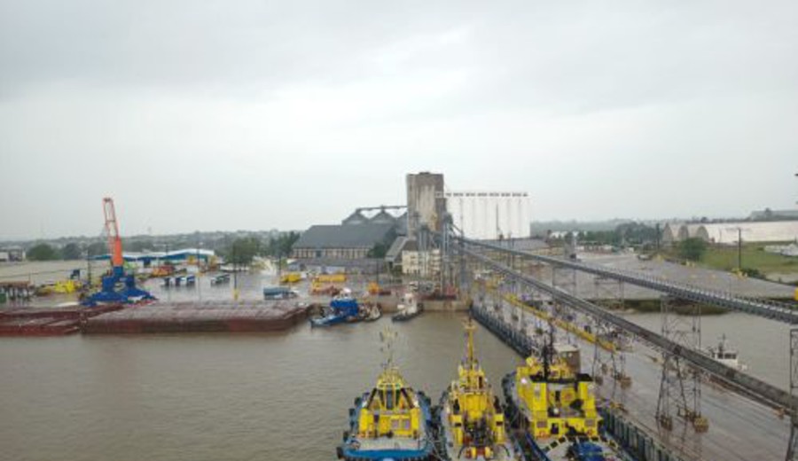 imagen de Se prepara exportación de ganado en pie por Nueva Palmira