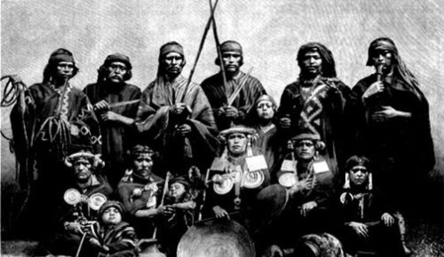 imagen de Milei despoja tierras a mapuches