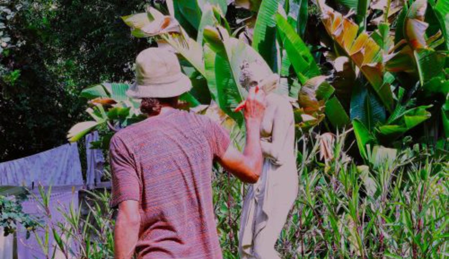 imagen de Renovarse es vivir