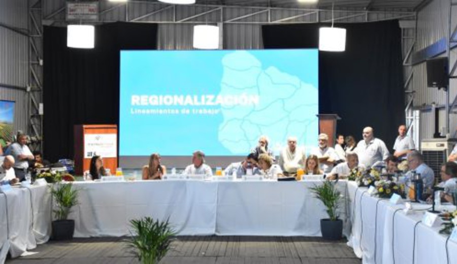 imagen de Congreso de Intendentes aprueba rebaja de 50% en multas de tránsito: vea en qué casos aplica