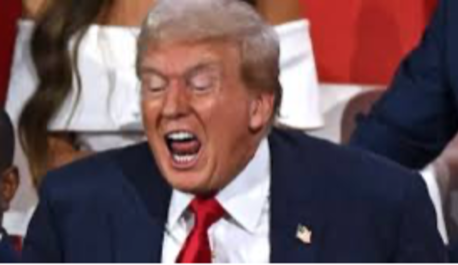 imagen de Donald Trump entre la política y la demencia