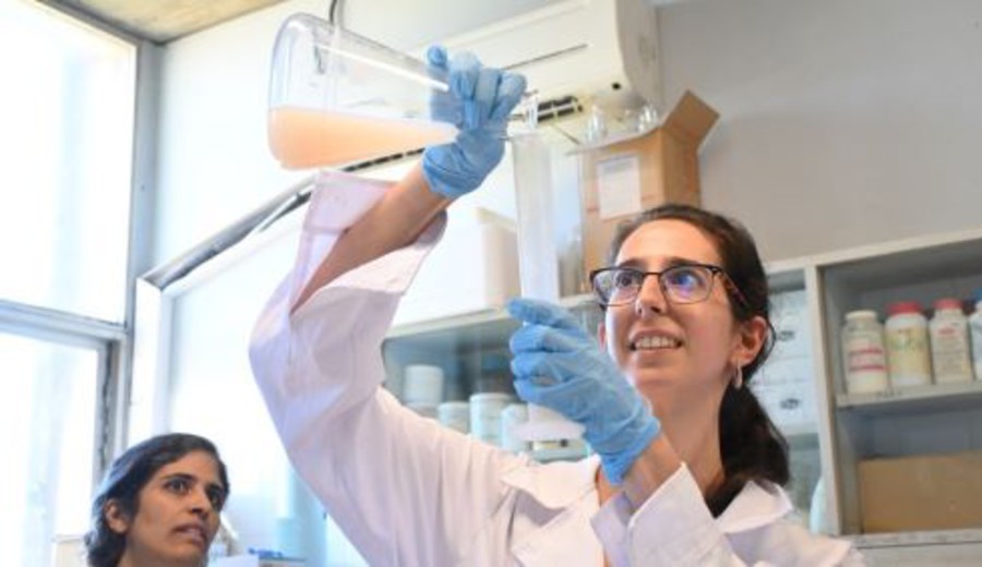 imagen de Uruguay y Costa Rica aúnan investigación e infraestructura para desarrollar bioplásticos