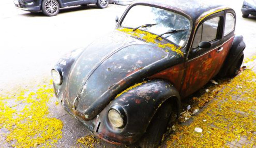 imagen de Equinoccio