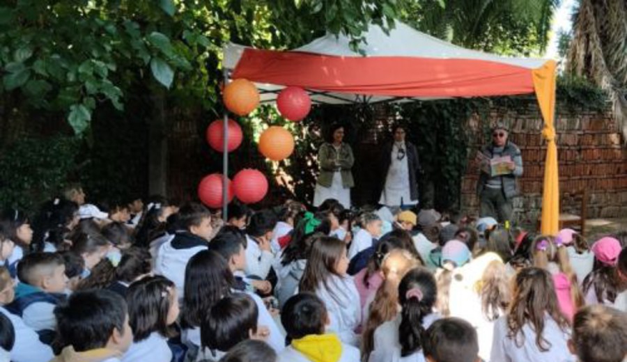 imagen de AEBU: Diez veces Cuenta Cultura