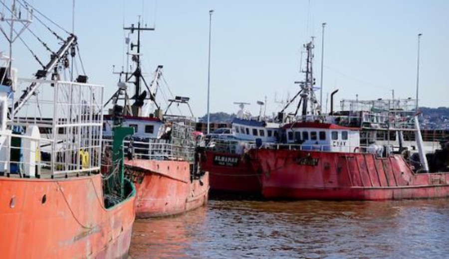 imagen de Gobierno bajó de 83% a 7% el ajuste del gasoil marino y estableció un subsidio temporal a la pesca