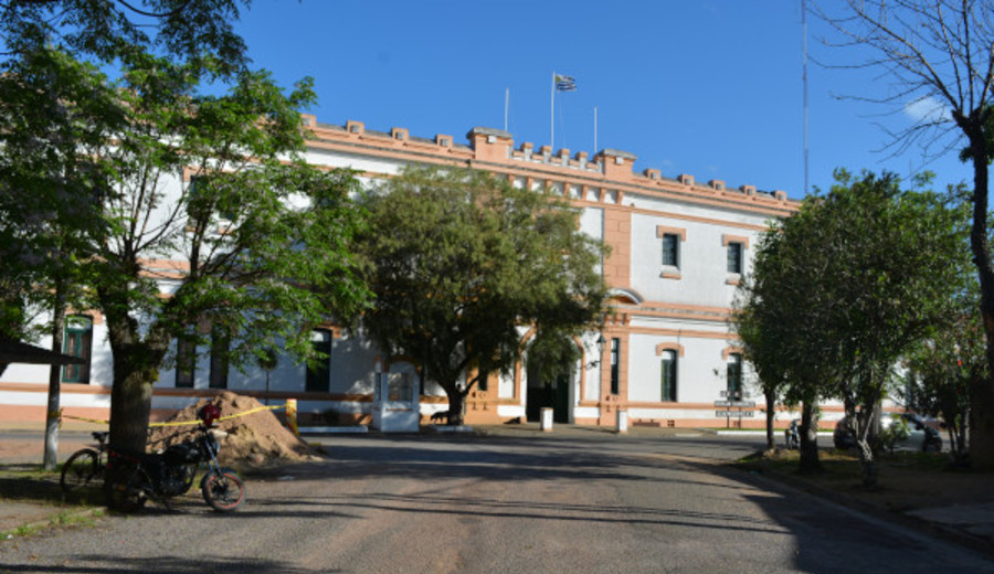 imagen de Sin permiso. Liliana Pertuy