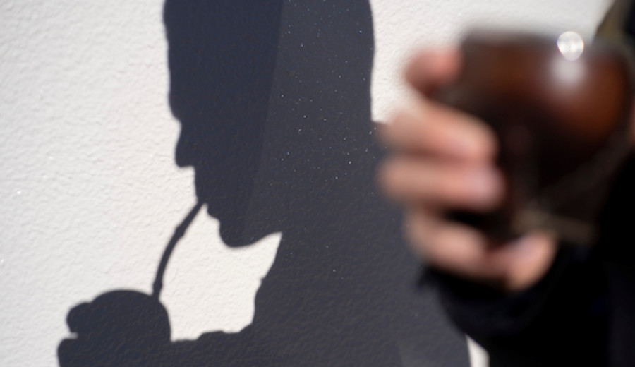 imagen de Producción de yerba mate en Quebrada de los Cuervos: proyecto de ley pretende declararla de “interés general”